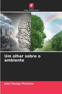 bokomslag Um olhar sobre o ambiente