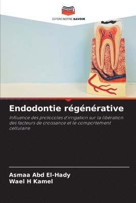 Endodontie rgnrative 1