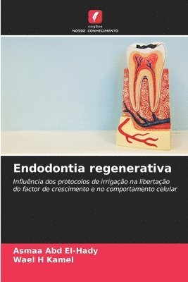 bokomslag Endodontia regenerativa