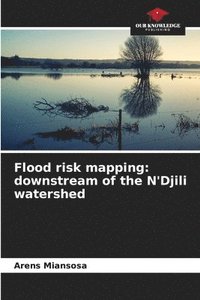 bokomslag Flood risk mapping