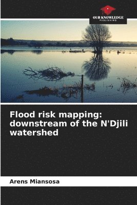 bokomslag Flood risk mapping