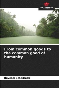 bokomslag From common goods to the common good of humanity