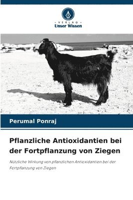 bokomslag Pflanzliche Antioxidantien bei der Fortpflanzung von Ziegen