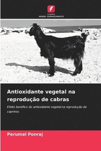 bokomslag Antioxidante vegetal na reproduo de cabras