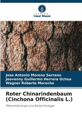 Roter Chinarindenbaum (Cinchona Officinalis L.) 1