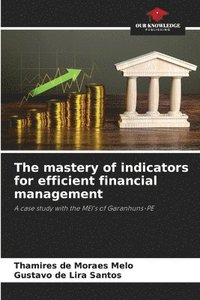 bokomslag The mastery of indicators for efficient financial management