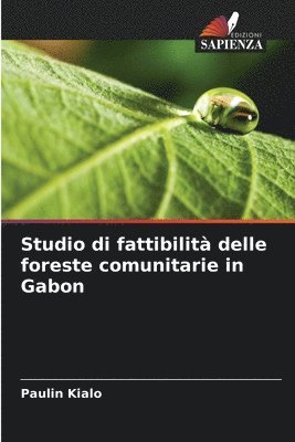 Studio di fattibilit delle foreste comunitarie in Gabon 1