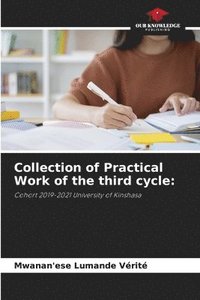 bokomslag Collection of Practical Work of the third cycle