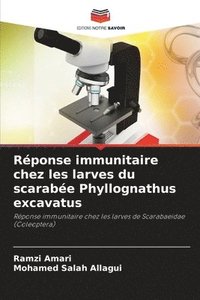 bokomslag Rponse immunitaire chez les larves du scarabe Phyllognathus excavatus