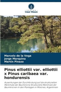 bokomslag Pinus elliottii var. elliottii x Pinus caribaea var. hondurensis