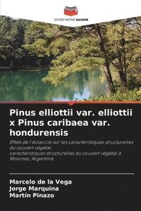 bokomslag Pinus elliottii var. elliottii x Pinus caribaea var. hondurensis