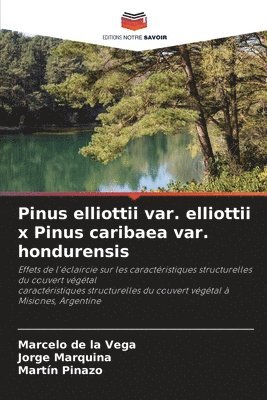 Pinus elliottii var. elliottii x Pinus caribaea var. hondurensis 1