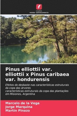 bokomslag Pinus elliottii var. elliottii x Pinus caribaea var. hondurensis