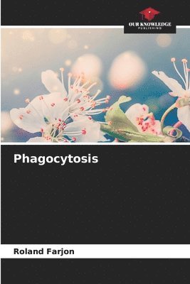 bokomslag Phagocytosis