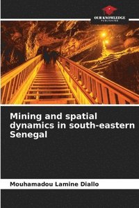 bokomslag Mining and spatial dynamics in south-eastern Senegal
