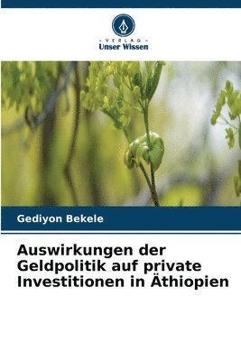 bokomslag Auswirkungen der Geldpolitik auf private Investitionen in thiopien