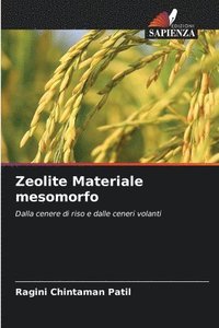 bokomslag Zeolite Materiale mesomorfo
