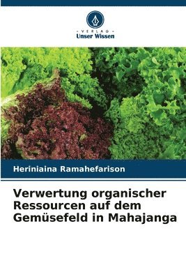 Verwertung organischer Ressourcen auf dem Gemsefeld in Mahajanga 1