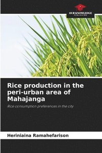 bokomslag Rice production in the peri-urban area of Mahajanga