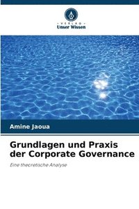 bokomslag Grundlagen und Praxis der Corporate Governance
