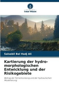 bokomslag Kartierung der hydro-morphologischen Entwicklung und der Risikogebiete