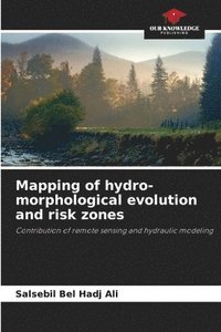 bokomslag Mapping of hydro-morphological evolution and risk zones