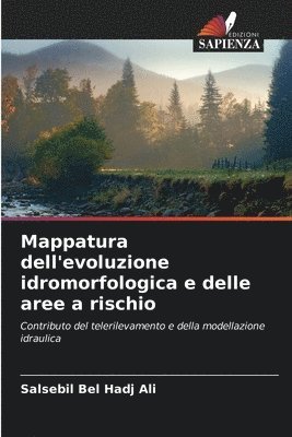 bokomslag Mappatura dell'evoluzione idromorfologica e delle aree a rischio