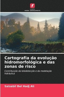 Cartografia da evolução hidromorfológica e das zonas de risco