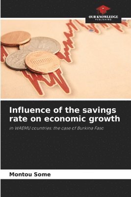 Influence of the savings rate on economic growth 1