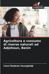 bokomslag Agricoltura e consumo di risorse naturali ad Adjohoun, Benin