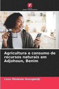 bokomslag Agricultura e consumo de recursos naturais em Adjohoun, Benim