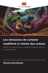 bokomslag Les missions de carbone modifient la chimie des ocans