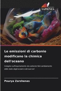 bokomslag Le emissioni di carbonio modificano la chimica dell'oceano