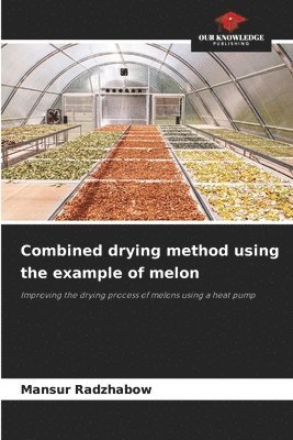 Combined drying method using the example of melon 1