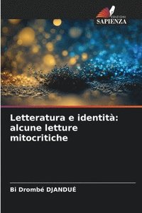 bokomslag Letteratura e identit