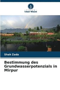 bokomslag Bestimmung des Grundwasserpotenzials in Mirpur