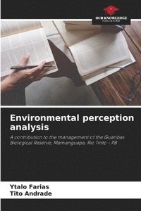 bokomslag Environmental perception analysis
