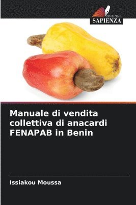 Manuale di vendita collettiva di anacardi FENAPAB in Benin 1