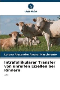 bokomslag Intrafollikulrer Transfer von unreifen Eizellen bei Rindern