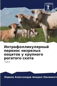 bokomslag &#1048;&#1085;&#1090;&#1088;&#1072;&#1092;&#1086;&#1083;&#1083;&#1080;&#1082;&#1091;&#1083;&#1103;&#1088;&#1085;&#1099;&#1081; &#1087;&#1077;&#1088;&#1077;&#1085;&#1086;&#1089;