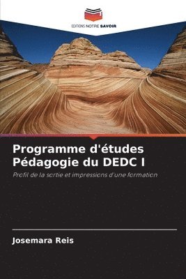 bokomslag Programme d'tudes Pdagogie du DEDC I