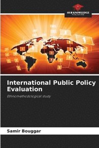bokomslag International Public Policy Evaluation