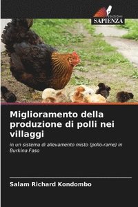 bokomslag Miglioramento della produzione di polli nei villaggi
