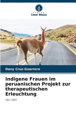 Indigene Frauen im peruanischen Projekt zur therapeutischen Erleuchtung 1