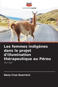 bokomslag Les femmes indignes dans le projet d'illumination thrapeutique au Prou