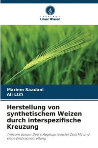 bokomslag Herstellung von synthetischem Weizen durch interspezifische Kreuzung