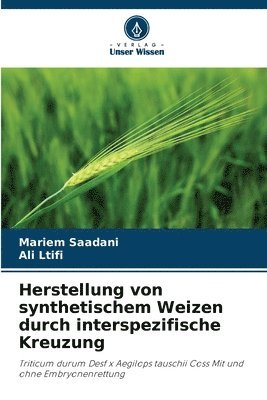 Herstellung von synthetischem Weizen durch interspezifische Kreuzung 1