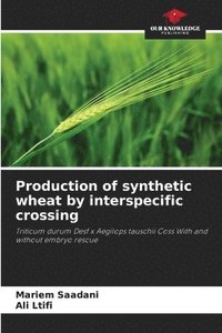 bokomslag Production of synthetic wheat by interspecific crossing