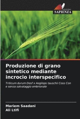 bokomslag Produzione di grano sintetico mediante incrocio interspecifico