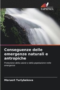 bokomslag Conseguenze delle emergenze naturali e antropiche